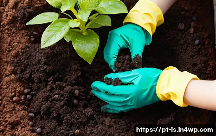 Plante Inteligente, Viva Zero Resíduos: Dicas Que Vão Transformar Sua Casa e Seu Bolso 3 제로웨이스트 생활을 위한 식물 재배 방법 관련 이미지 1